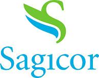 SAGICOR FINANCIAL CORPORATION LIMITED APPOINTED ACTUARY S 2016 REPORT TO THE SHAREHOLDERS AND POLICYHOLDERS I have performed or reviewed the valuation of the consolidated policy liabilities of (