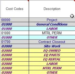 Marking Changes Changes to a Cost Code or Account Category are highlighted visually in several ways: The Cost Code row on the Forecast Data worksheet is changed to bold and