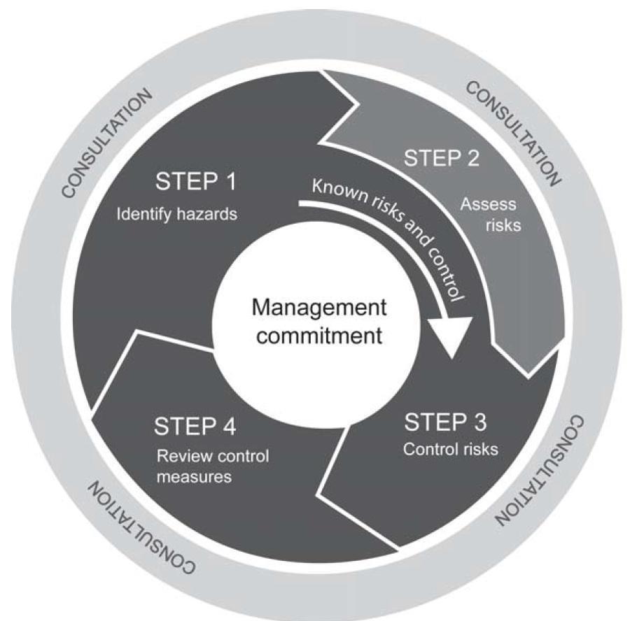 THE RISK MANAGEMENT PROCESS Diagram 3: The Risk Management Process