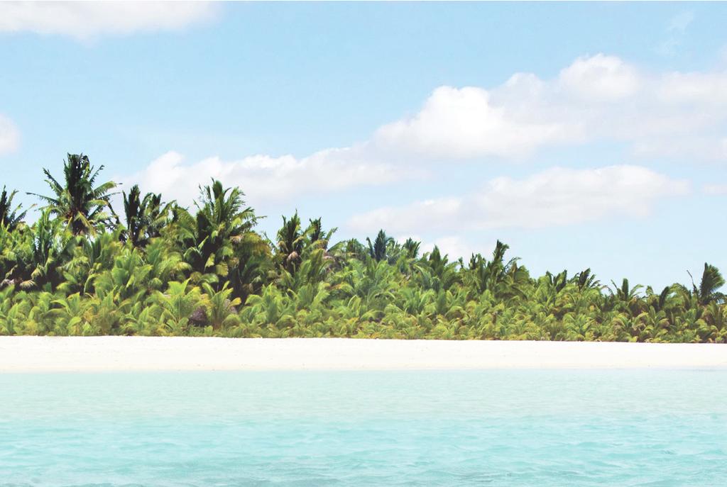 The Passport provision enables clients, if they need it, to transfer assets seamlessly to one of the oldest and most tested asset protection jurisdictions the Cook Islands, with one of