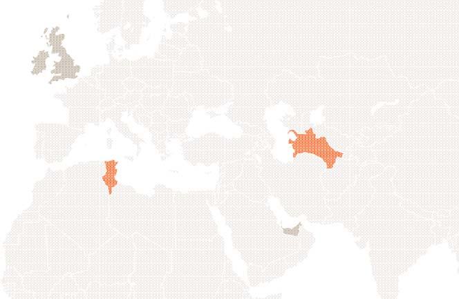 Diversification Dublin London Tunisia Turkmenistan Africa, Central Asia, the Middle