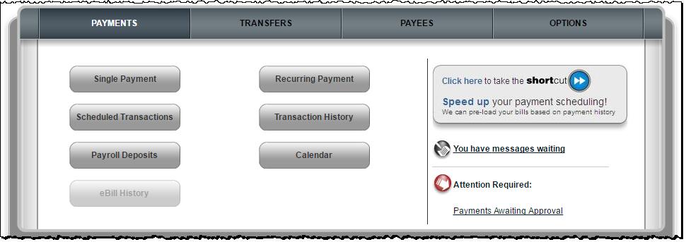 Payments Tab You can manage transactions, payroll, and payment