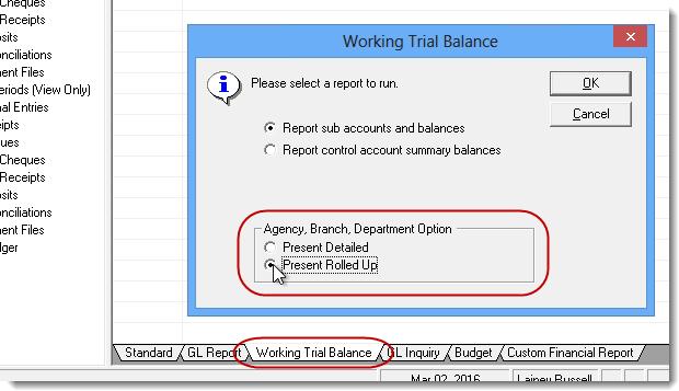 Choose Present Detailed to view the balance for each account for each ABD combination, or choose Present Rolled Up to view one line for each account for all