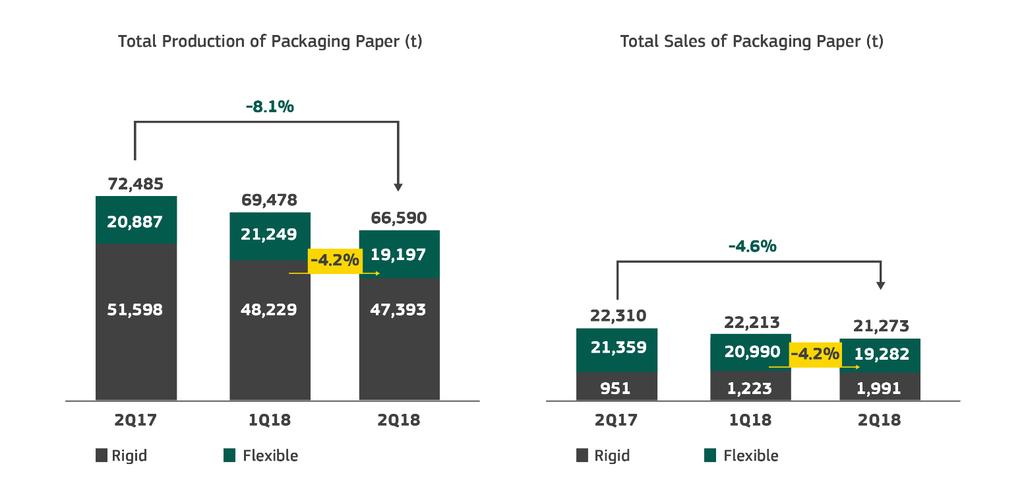 4 Segment of Paper for Packaging IRANI operates in the Packaging Paper Segment, in the markets of papers for rigid packaging (Corrugated Cardboard) as well as for flexible packaging (bagging).