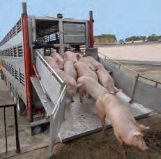 units per hour at pig