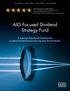 AIG Focused Dividend Strategy Fund