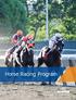 Horse Racing Program. Gaming, Entertainment & Sports Practice
