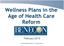 Wellness Plans in the Age of Health Care Reform