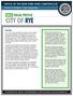 CITY OF RYE 2013 FISCAL PROFILE OFFICE OF THE NEW YORK STATE COMPTROLLER. Overview. Thomas P. DiNapoli State Comptroller