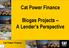 Cat Power Finance. Biogas Projects A Lender s Perspective. Cat Power Finance