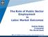 The Role of Public Sector Employment in Labor Market Outcomes