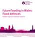 future flooding in Wales: flood defences Possible long-term investment scenarios
