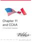 Chapter 11 and CCAA. » A Cross-Border Comparison