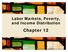Labor Markets, Poverty, and Income Distribution. Chapter 12. McGraw-Hill/Irwin. Copyright 2013 by The McGraw-Hill Companies, Inc. All rights reserved.