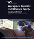 Workplace Injuries and Illnesses Safety (WIIS) Report