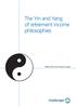 The Yin and Yang of retirement income philosophies. Wade Pfau and Jeremy Cooper