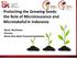 Protecting the Growing Seeds: the Role of Microinsurance and Microtakaful in Indonesia