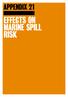 APPENDIX 21 EFFECTS ON MARINE SPILL RISK