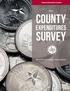 County Information Program County. Expenditures. Survey. (800)