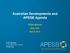 Australian Developments and APESB Agenda IESBA Meeting New York March 2013
