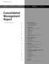 Consolidated Management Report