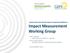 Impact Measurement Working Group