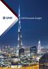 UAE Economic Insight 2013