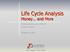 Life Cycle Analysis Money... and More