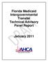 Florida Medicaid Intergovernmental Transfer Technical Advisory Panel Report. January Better Health Care for all Floridians