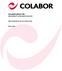 COLABOR GROUP INC. MANAGEMENT S DISCUSSION & ANALYSIS FIRST QUARTER OF THE 2017 FISCAL YEAR