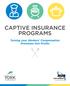 CAPTIVE INSURANCE PROGRAMS. Turning your Workers Compensation Premiums into Profits