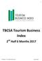 TBCSA Tourism Business Index