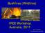 Bushfires (Wildfires) IRCC Workshop Australia, 2011 Jon S. Traw PE Traw Associates Consulting