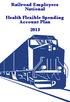 Railroad Employees National Health Flexible Spending Account Plan 2013