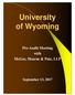 University of Wyoming. Pre-Audit Meeting with McGee, Hearne & Paiz, LLP