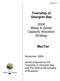 Township of Georgian Bay Water & Sewer Capacity Allocation Strategy. MacTier. November, Jointly prepared by the