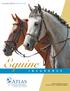 Equine. 100% Reinsured by certain underwriters at Lloyds of london