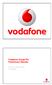 Vodafone Group Plc Preliminary Results