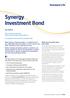 Synergy Investment Bond