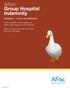 Aflac Group Hospital Indemnity