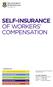 SELF-INSURANCE OF WORKERS COMPENSATION