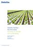 Deloitte TaxMax the 41st series Growing in strength and sustainability