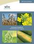 RMP: Grains and Oilseeds. Participant Handbook Risk Management Program