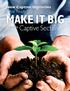 MAKE IT BIG. in the. New Captive Domiciles Are Ready to. by Karrie Hyatt. April 2014 The Self-Insurer