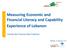 Measuring Economic and Financial Literacy and Capability Experience of Lebanon