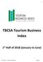 TBCSA Tourism Business Index