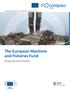 The European Maritime and Fisheries Fund. Financial instruments