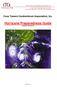 Hurricane Preparedness Guide Updated 03/29/2013