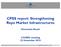 CPSS report: Strengthening Repo Market Infrastructures