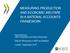 MEASURING PRODUCTION AND ECONOMIC WELFARE IN A NATIONAL ACCOUNTS FRAMEWORK